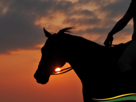 קירגיזסטן טיולי סוסים - נומדס יורט מדריך הטיולים שלכם למרכז אסיה